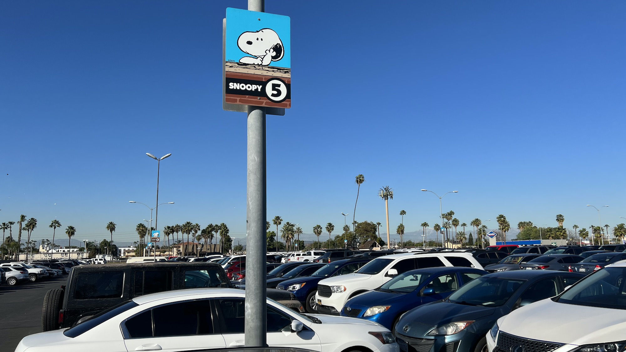 Knott's Berry Farm Full Parking Lot