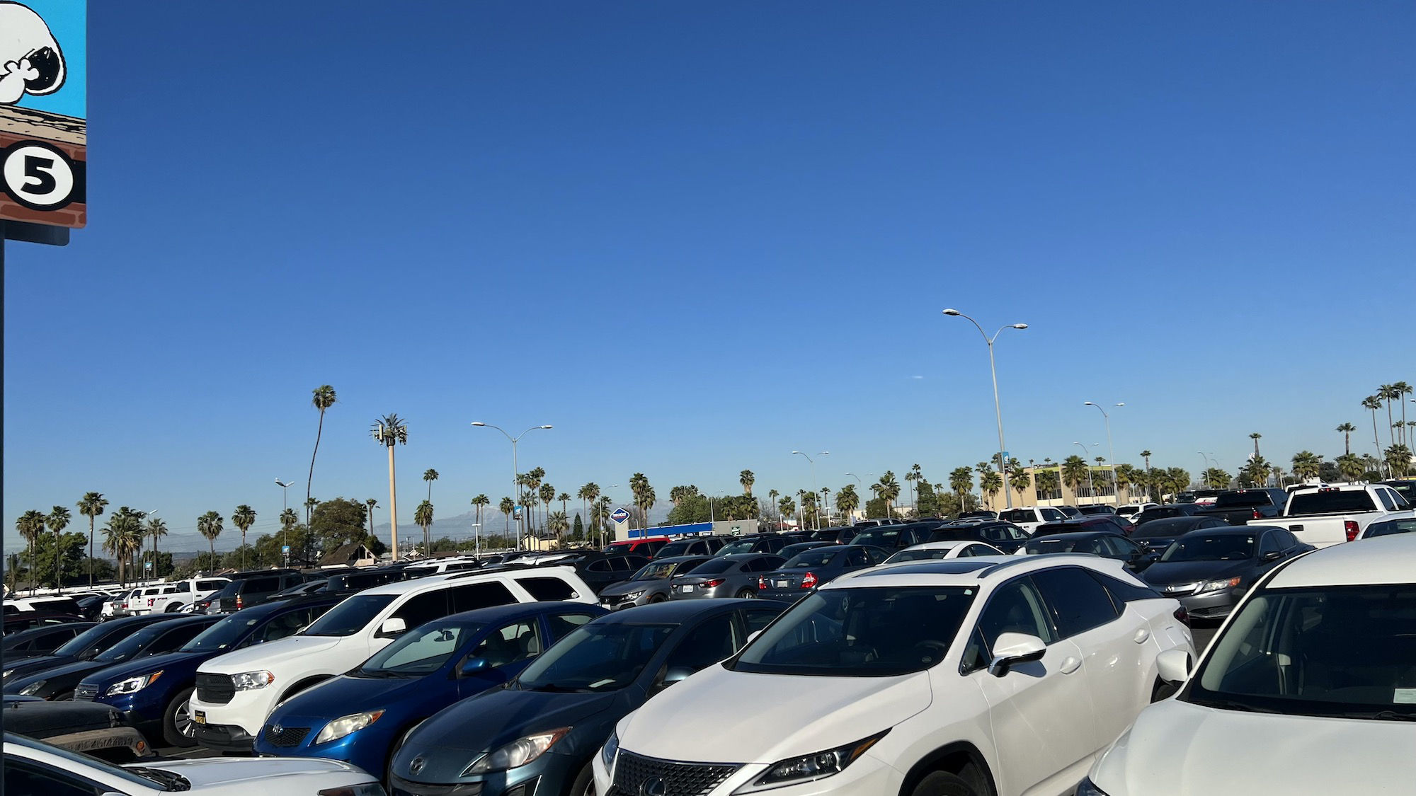 Knott's Berry Farm Full Parking Lot