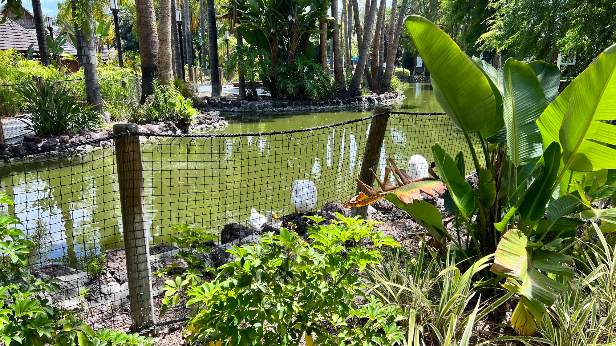 Knott's Berry Farm Jungle Island Lagoon