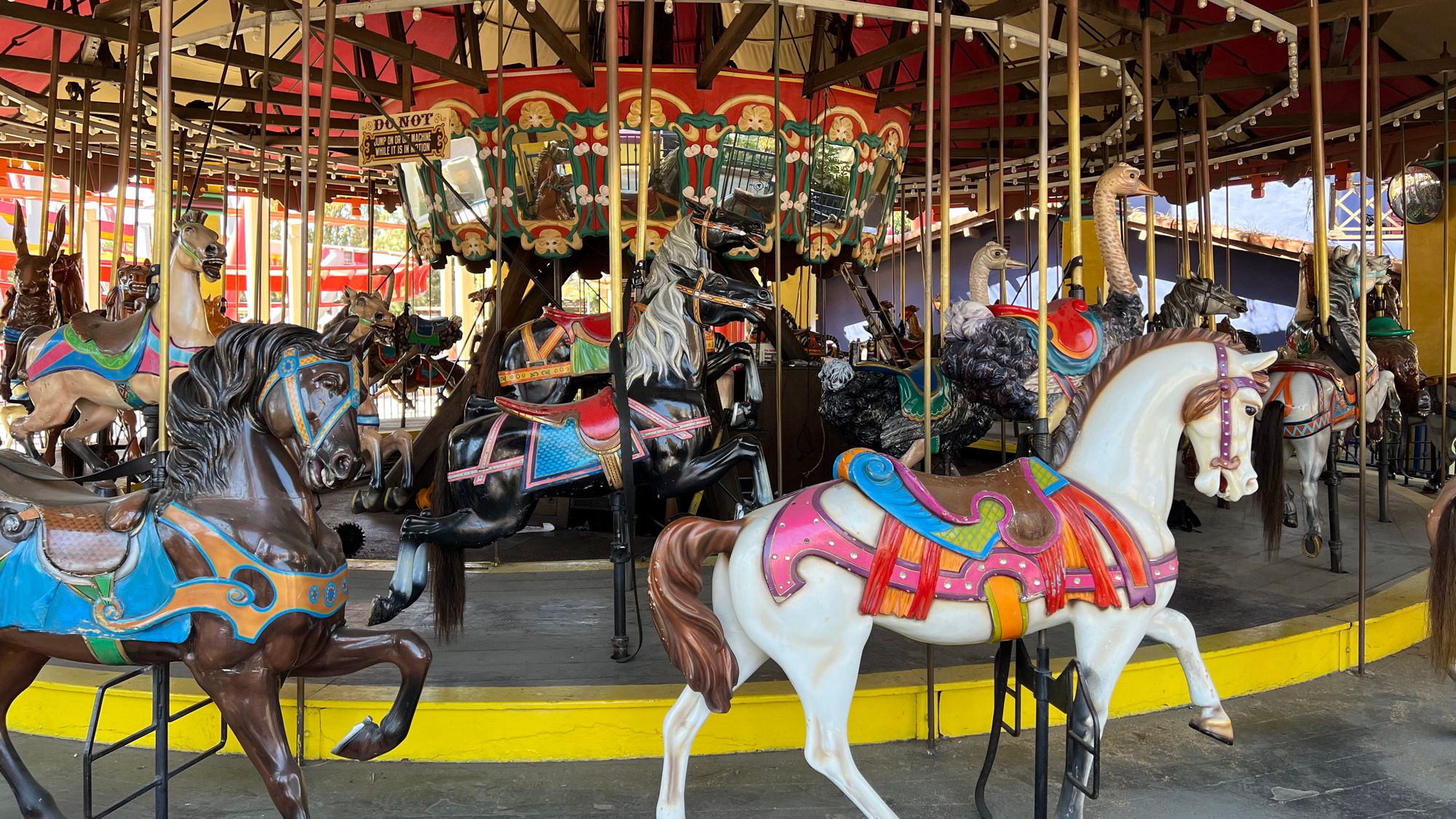 Merry Go Round Black Horse