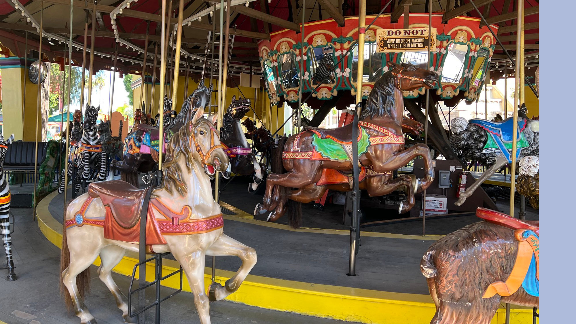 Merry Go Round Zebras