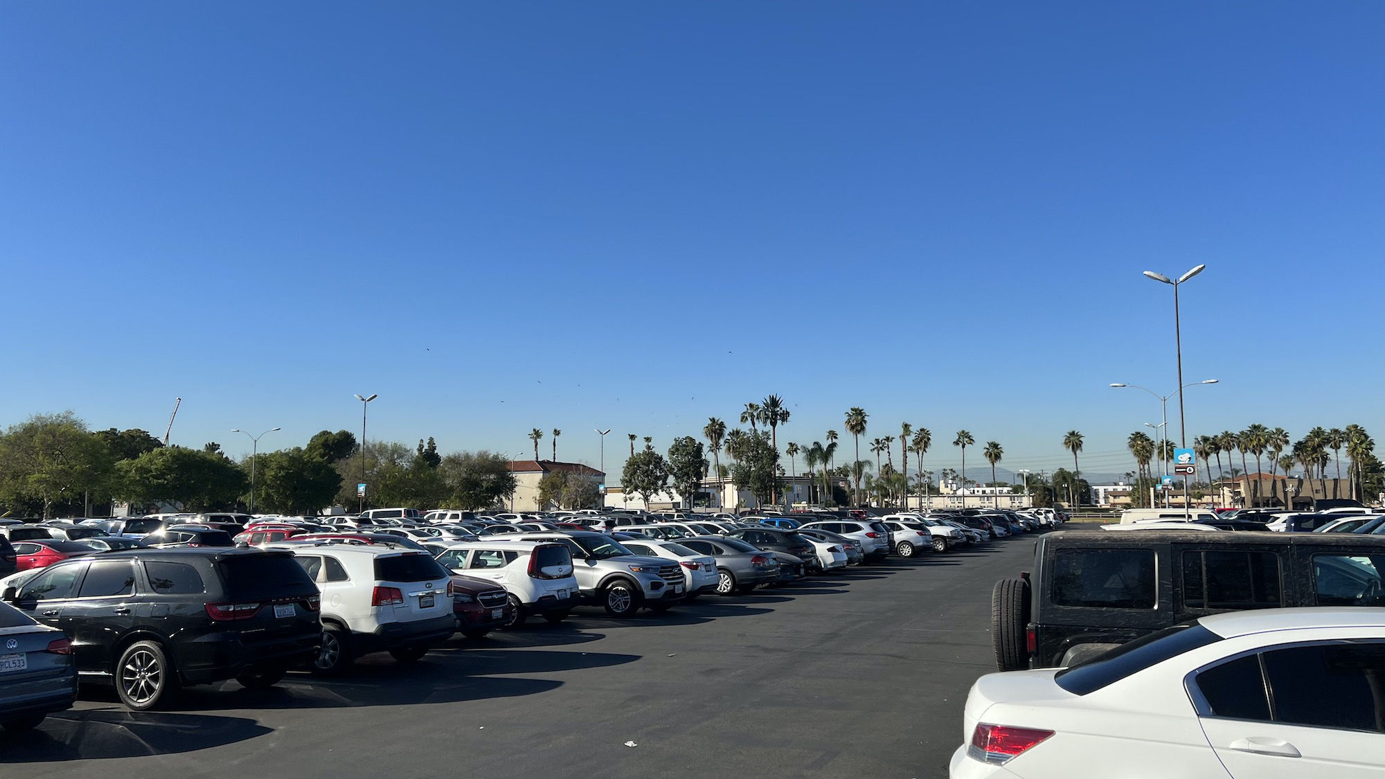 Knott's Berry Farm Full Parking Lot