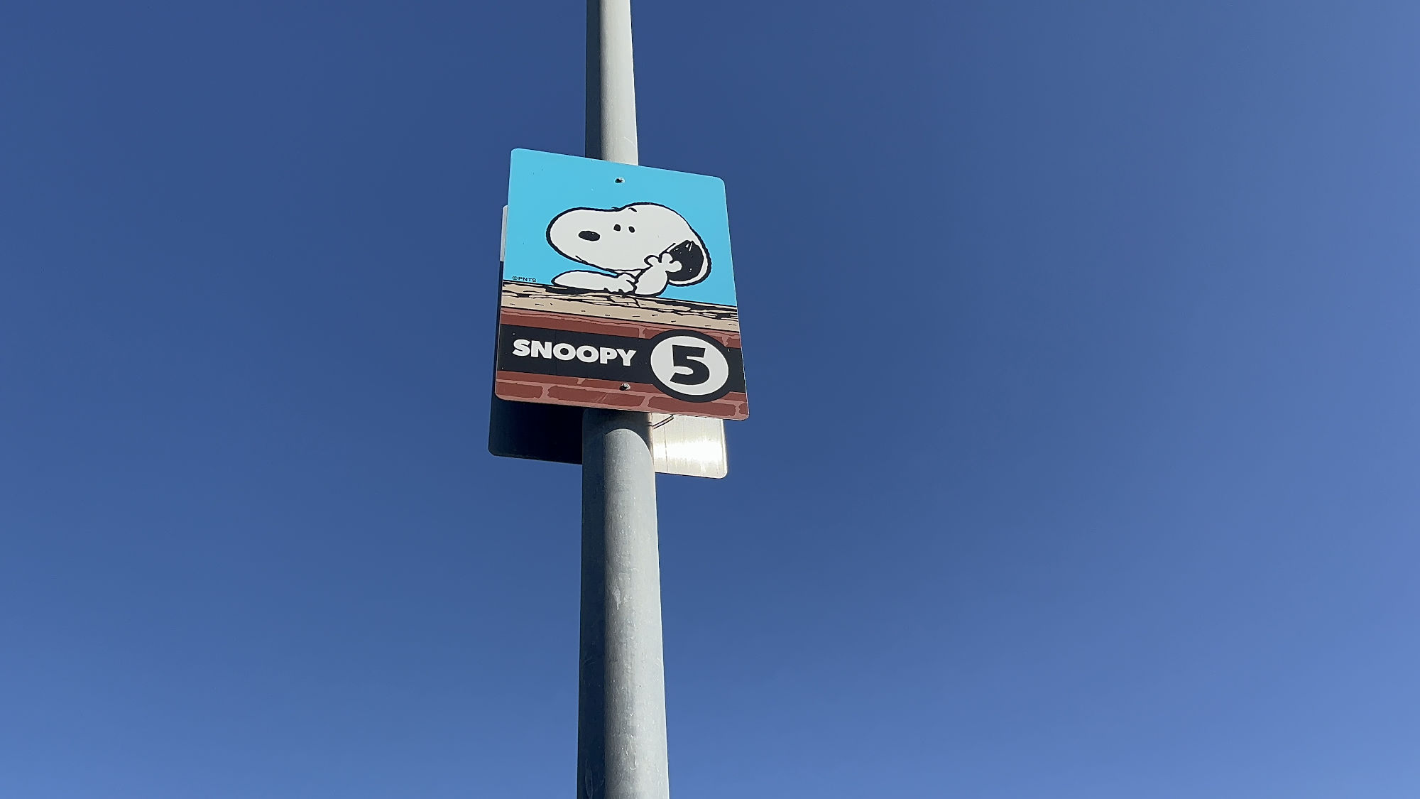 Knott's Berry Farm Parking Lot Snoopy 5 Section