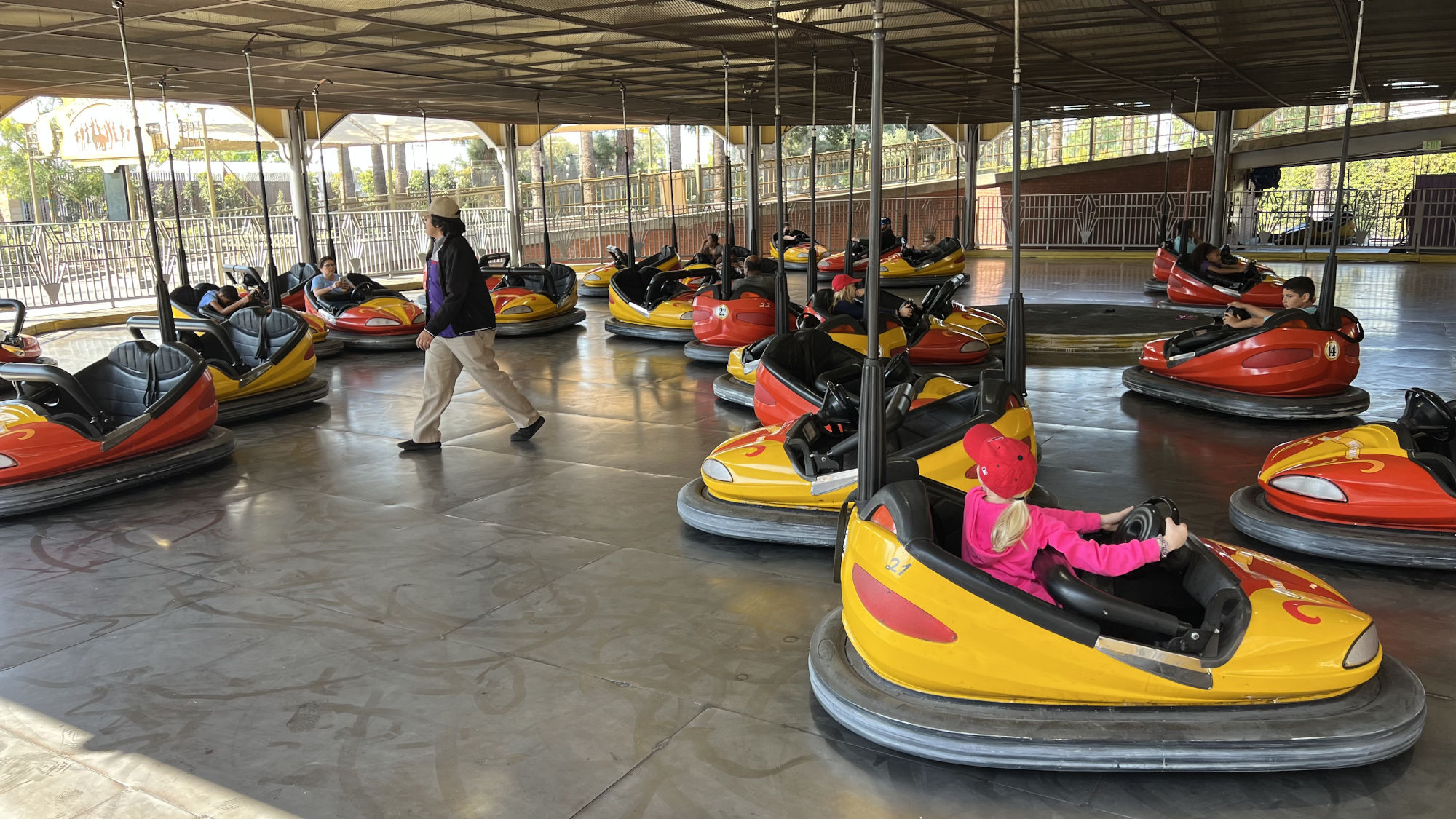 Wheeler Dealer Bumper Cars