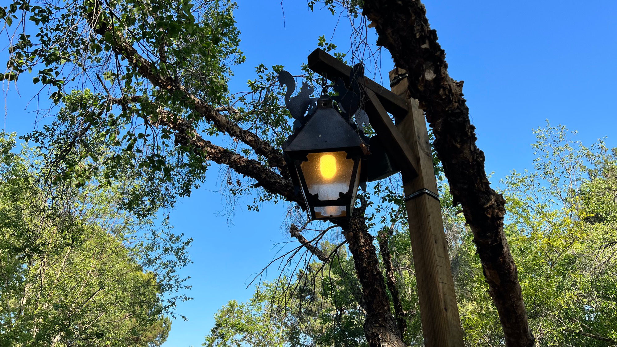 Another Lamp Post with Squirrels Another Lamp Post with Squirrels
