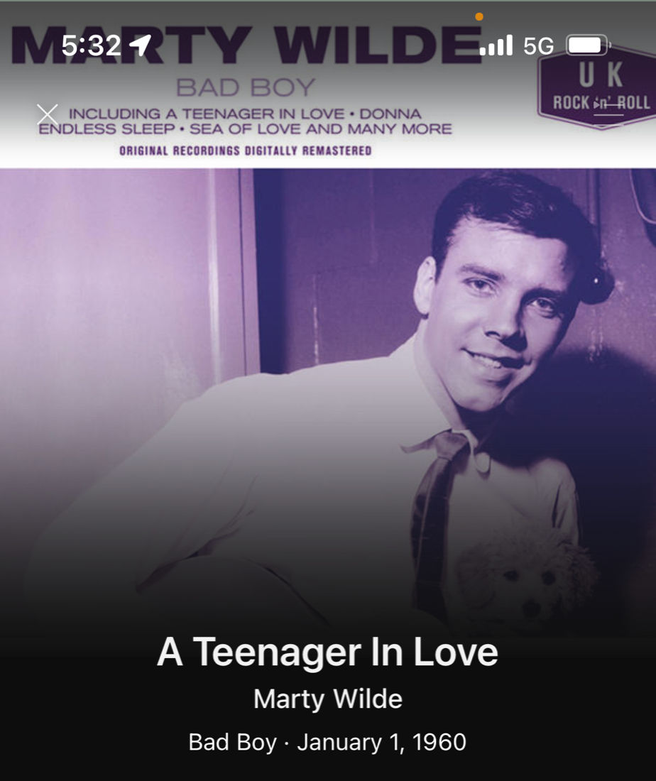 Marty Wilde a Teenager in Love