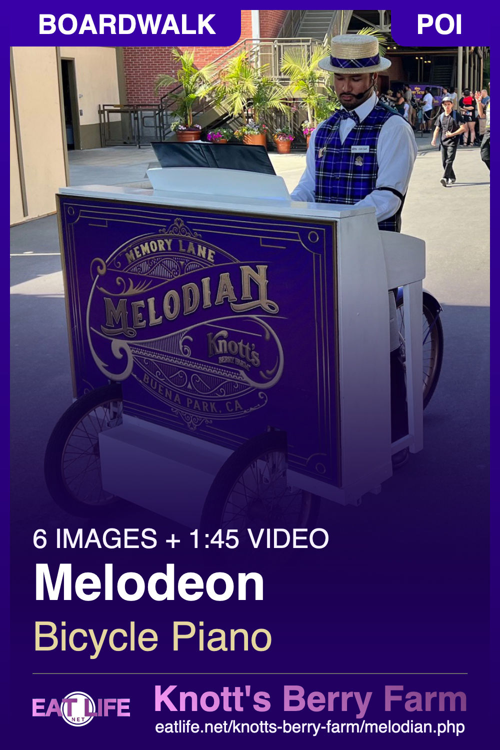Bicycle Piano