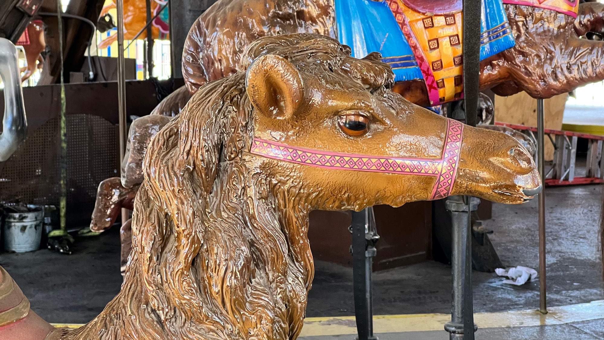 Camel Merry Go Round Camel