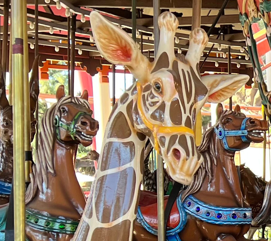 Merry-Go-Round