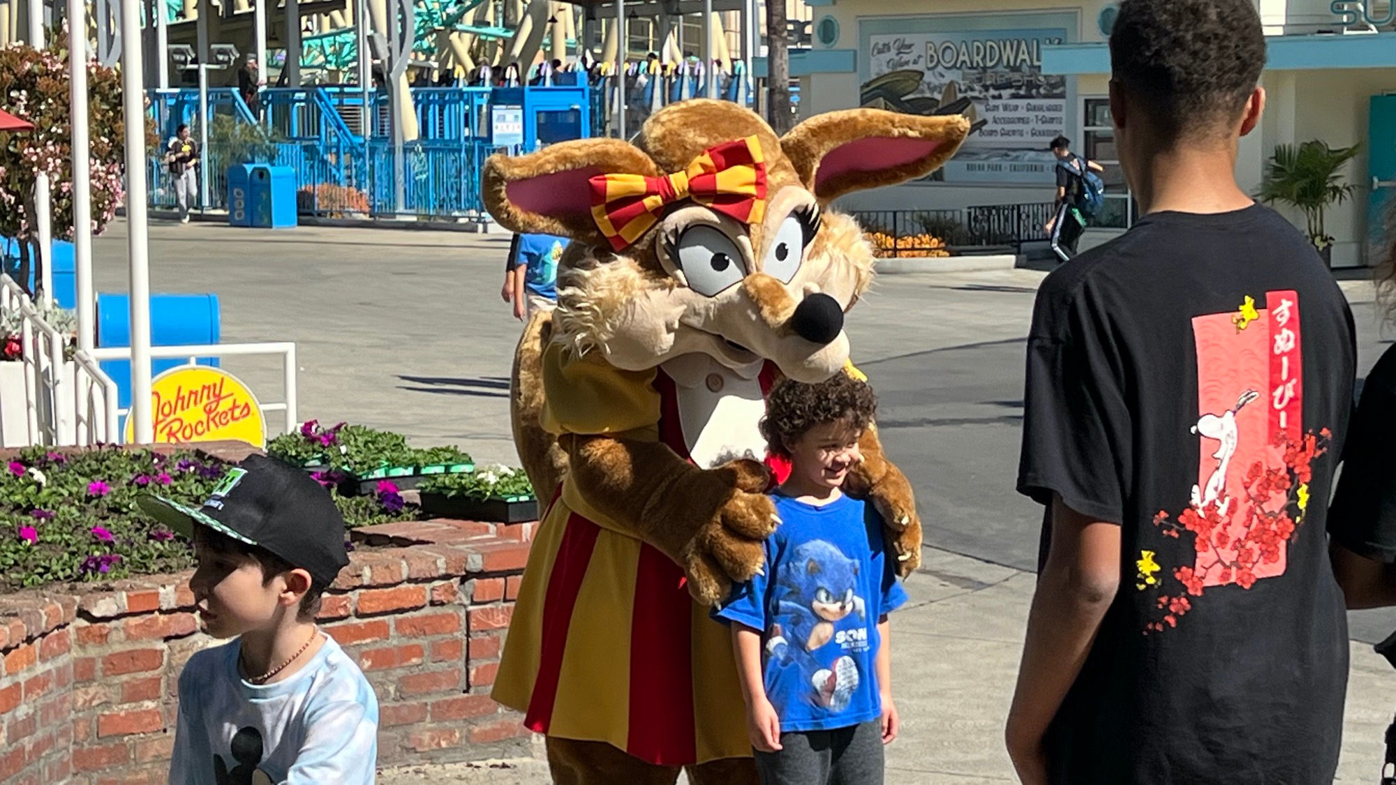 Moxie the Coyote Close Up