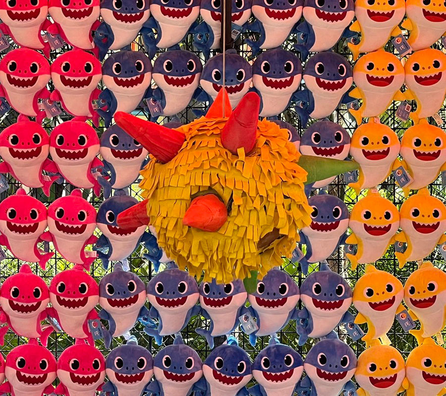 Mucha Pinata