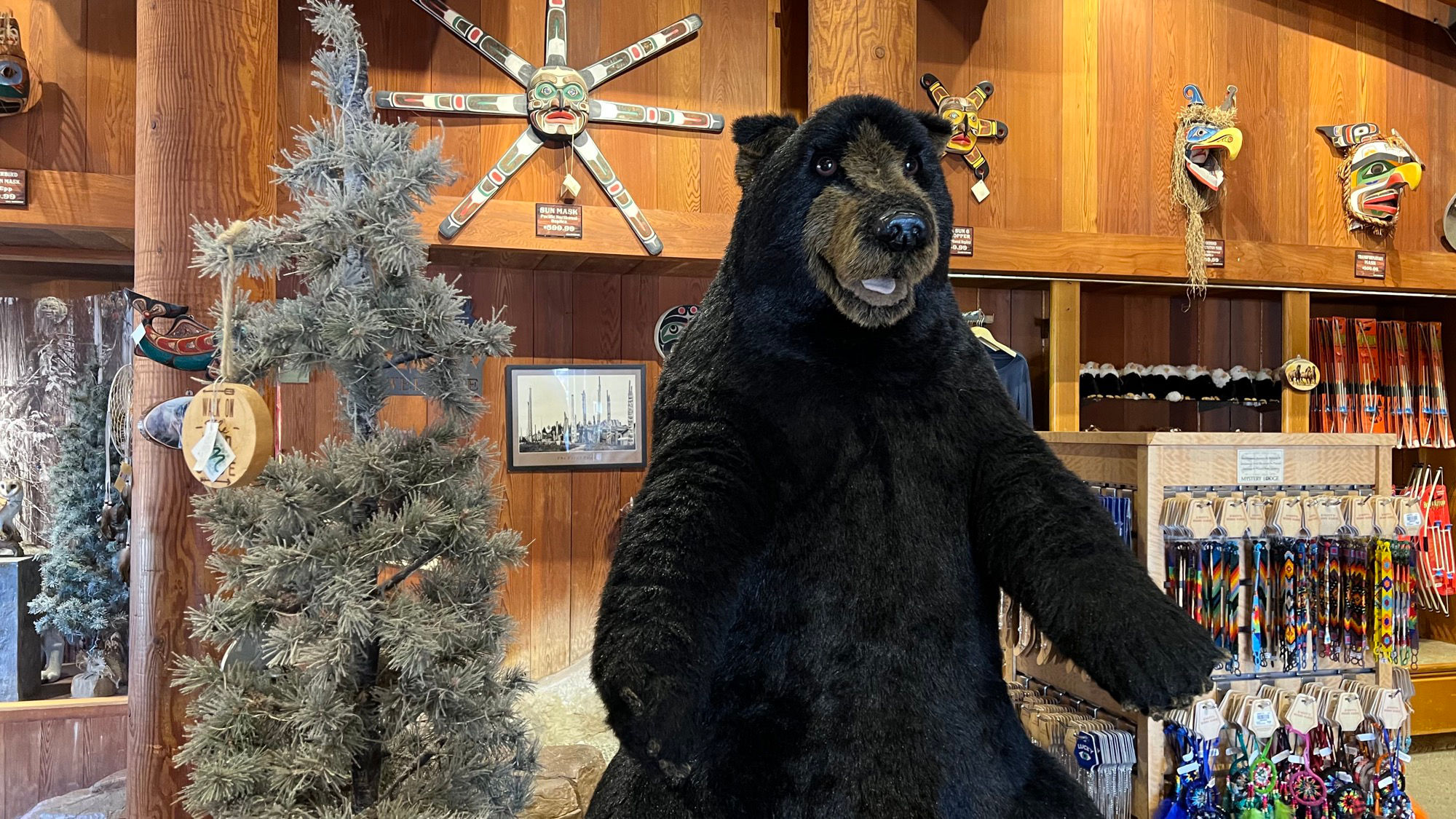 Bear
