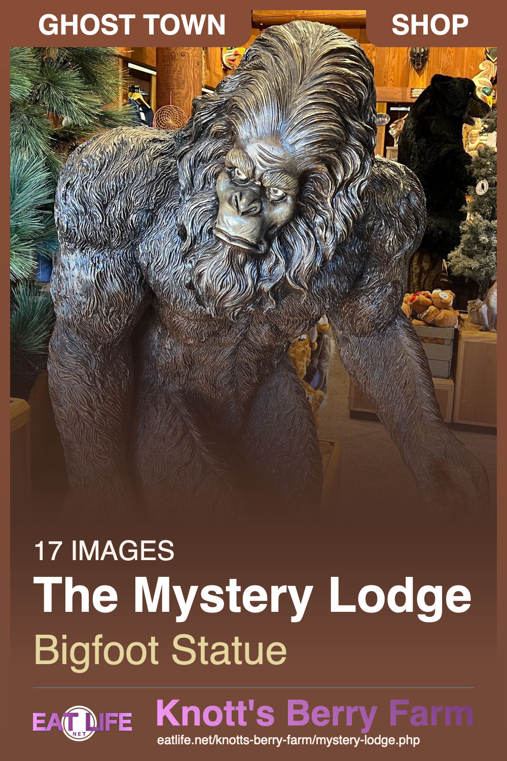 Mystery Lodge