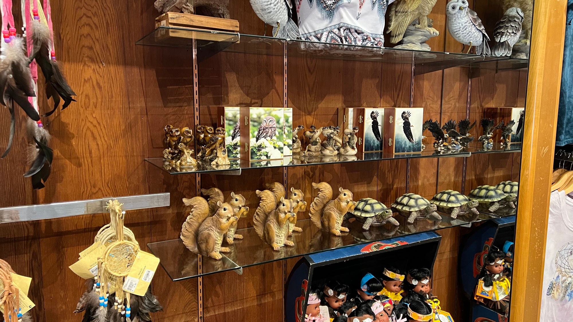Squirrels