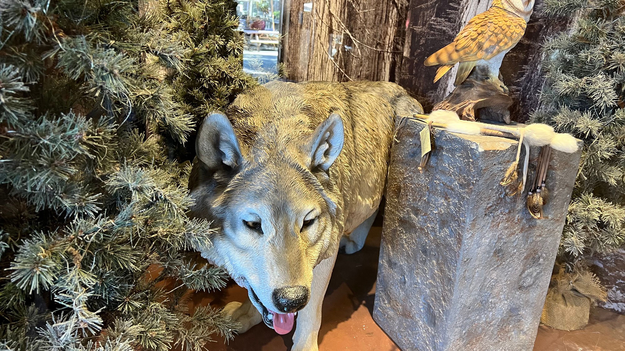 Wolf
