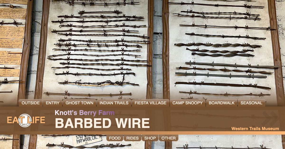 Barbed Wire