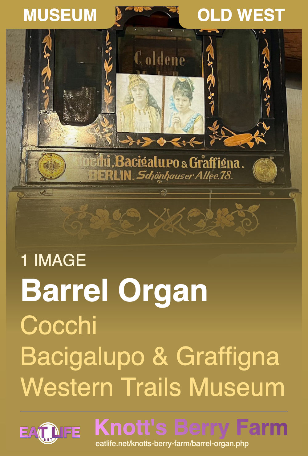 Barrel Organ