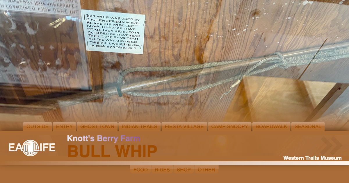 Bull Whip