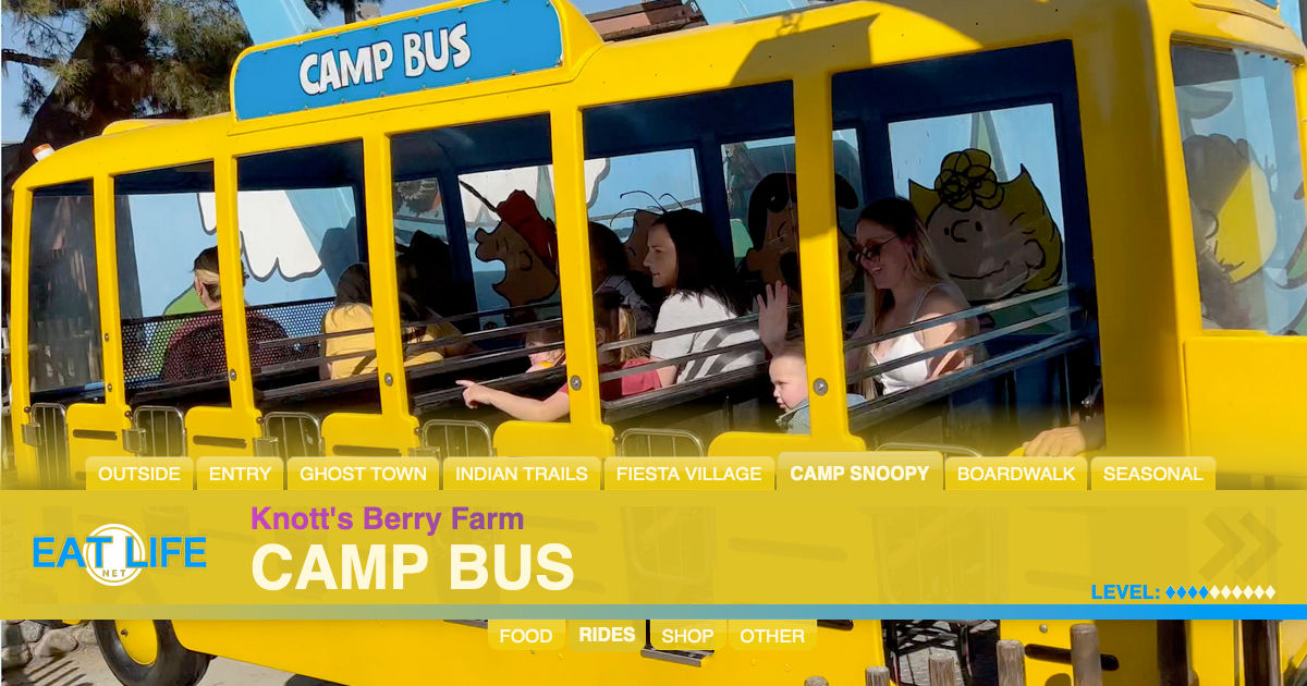 Camp Bus
