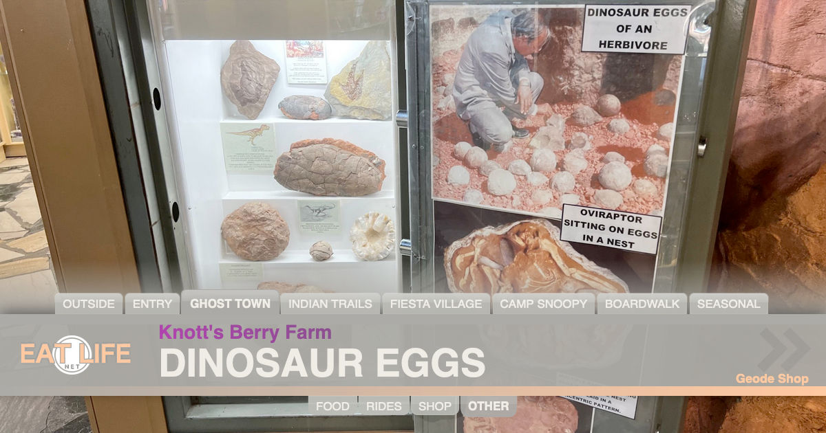 Dinosaur Eggs