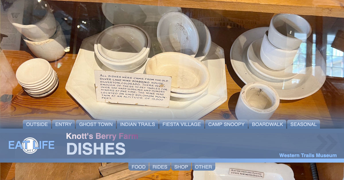Dishes