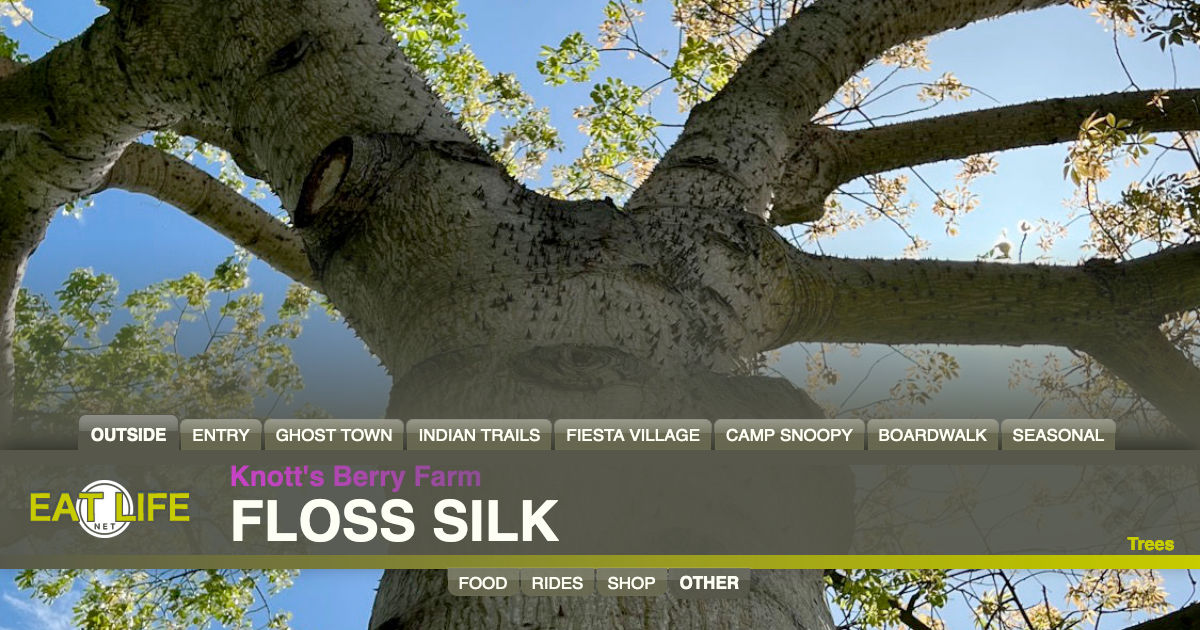 Floss Silk