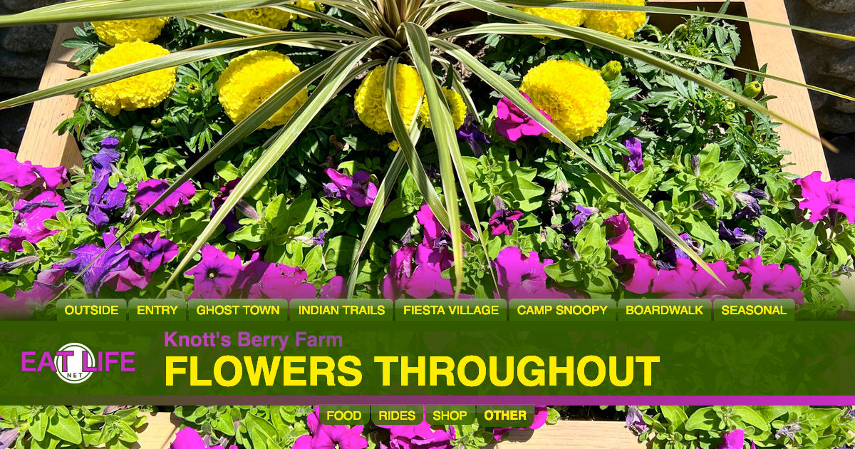 Flowers Throughout