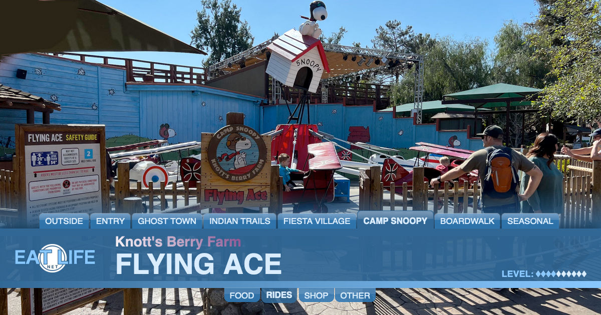 Flying Ace