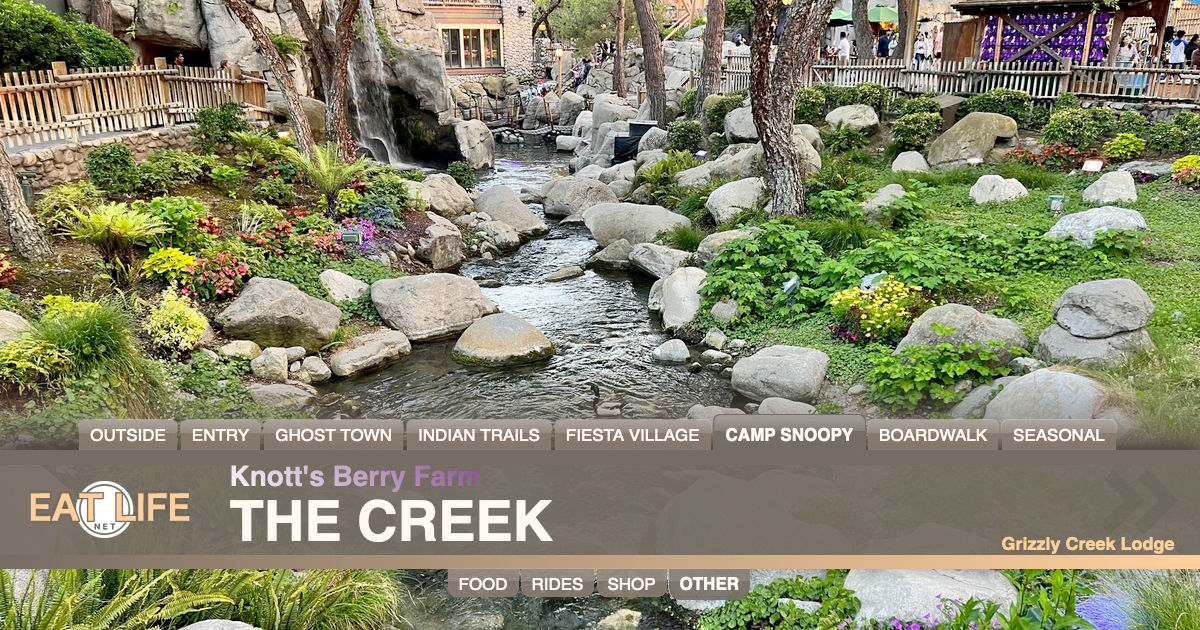 The Creek