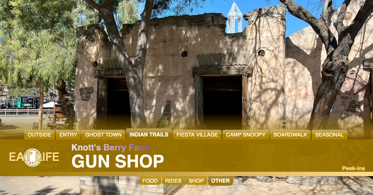 Gun Shop