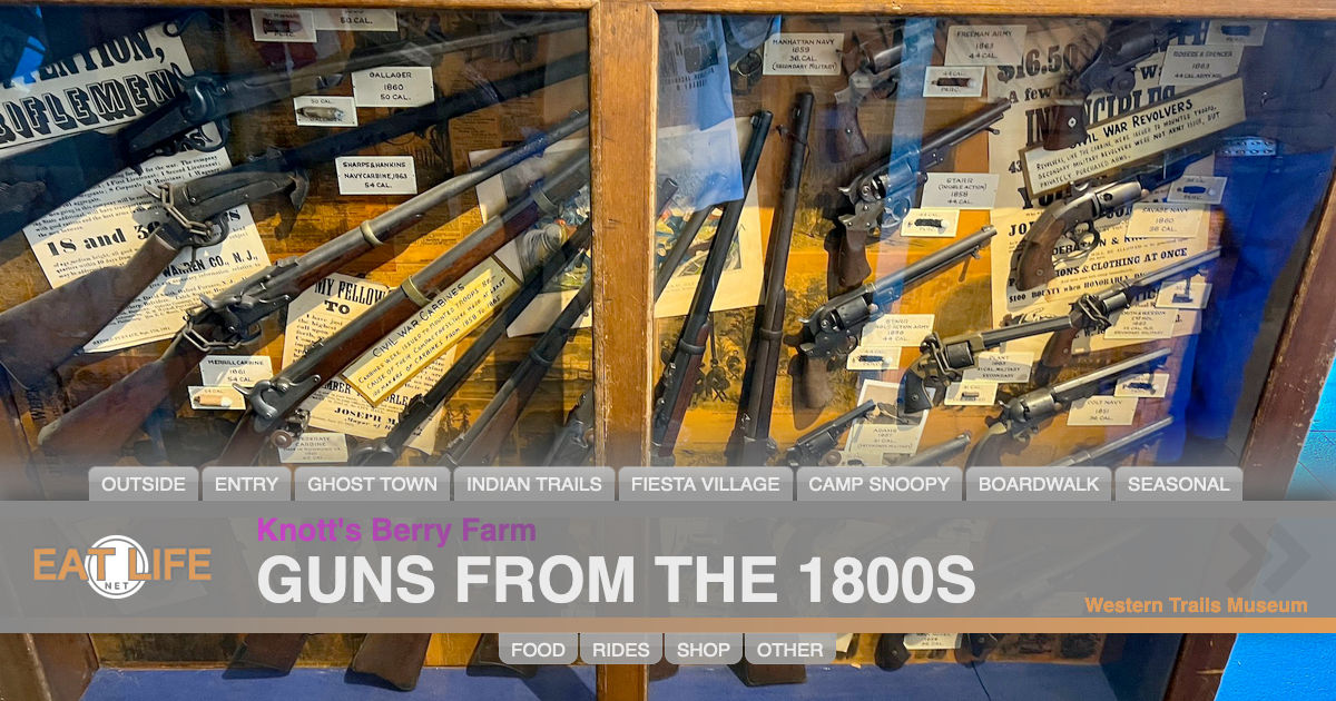 Guns from the 1800s