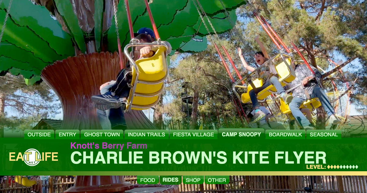 Charlie Brown's Kite Flyer