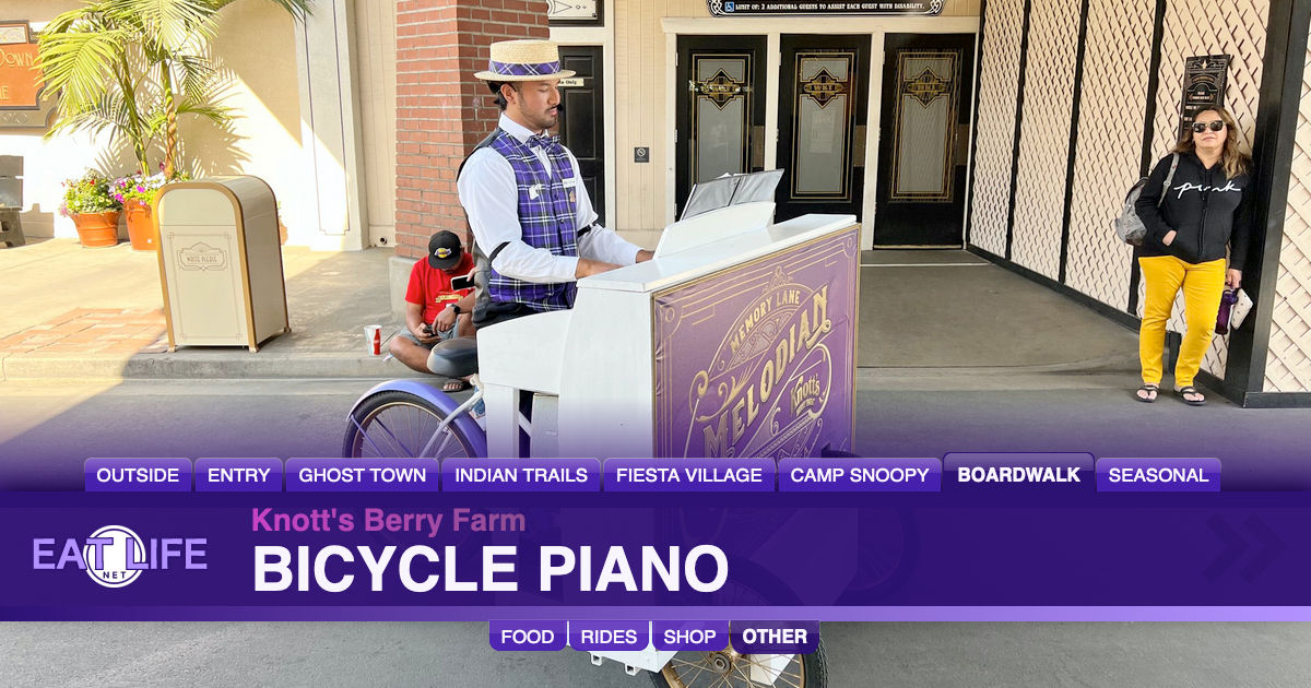 Bicycle Piano