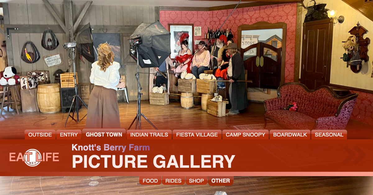 Picture Gallery