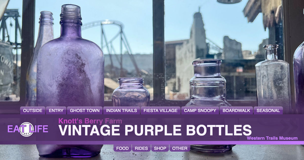 Vintage Purple Bottles