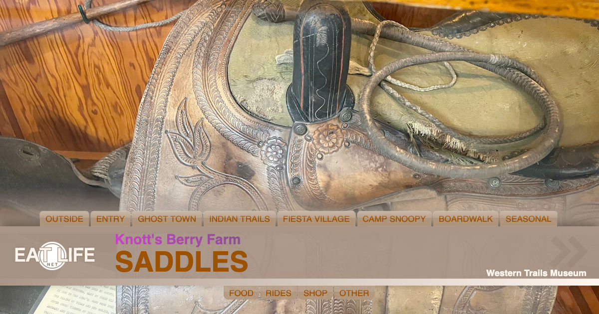 Saddles