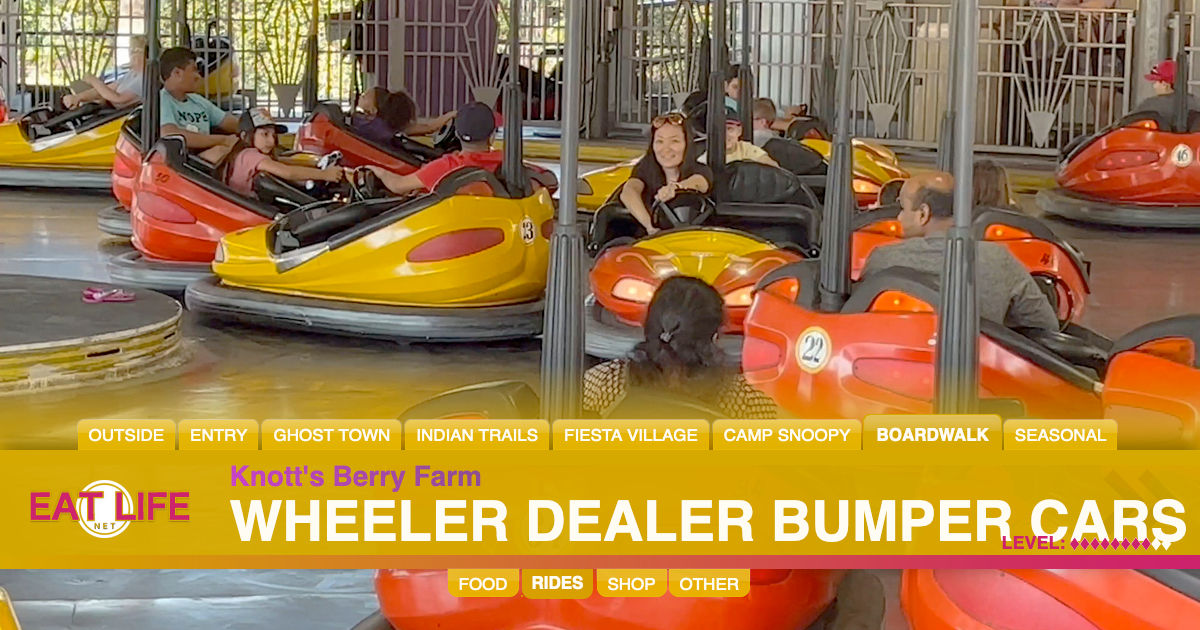 Wheeler Dealer Bumper Cars