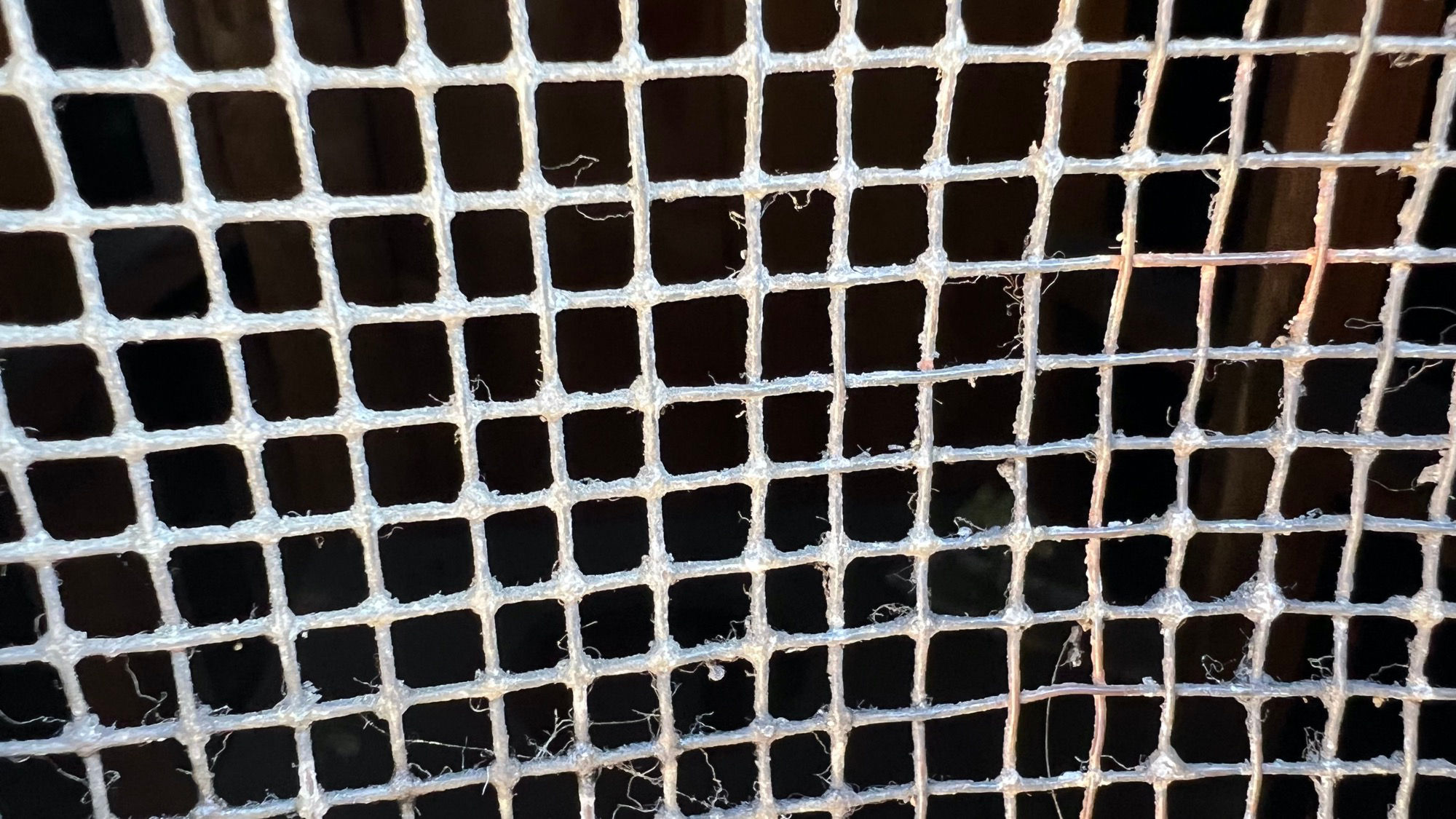 Can't See Inside Can't See Inside