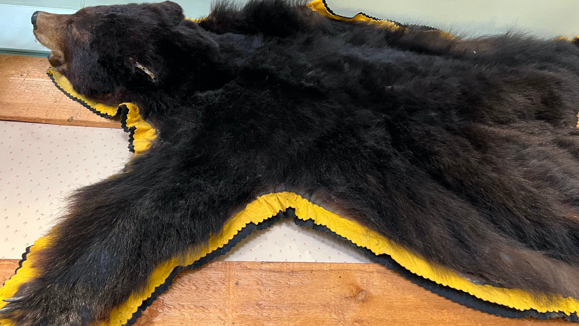 Bear Skin Rug Overland Gunshop Bear Skin Rug