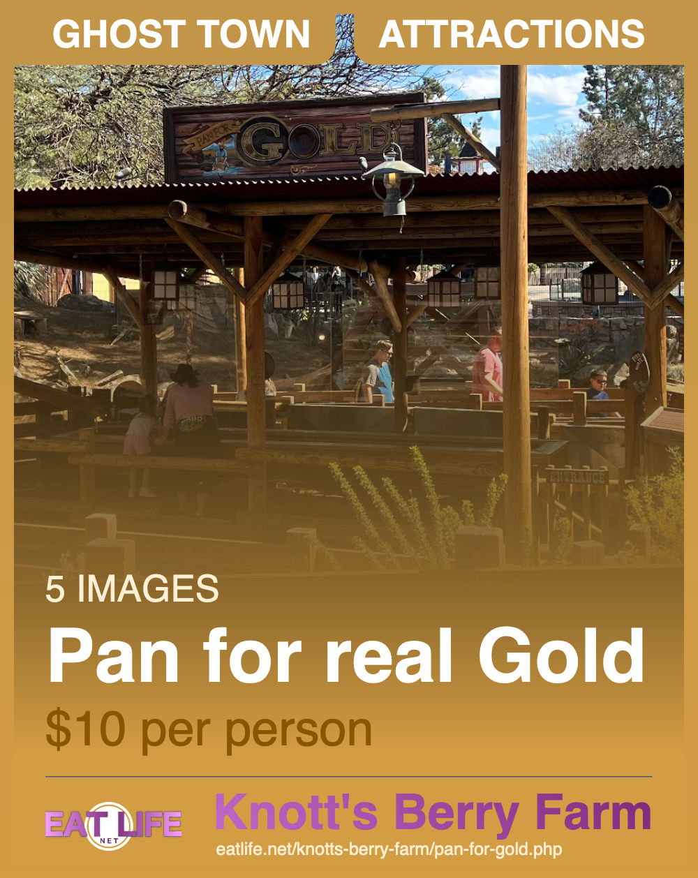 Pan for Gold