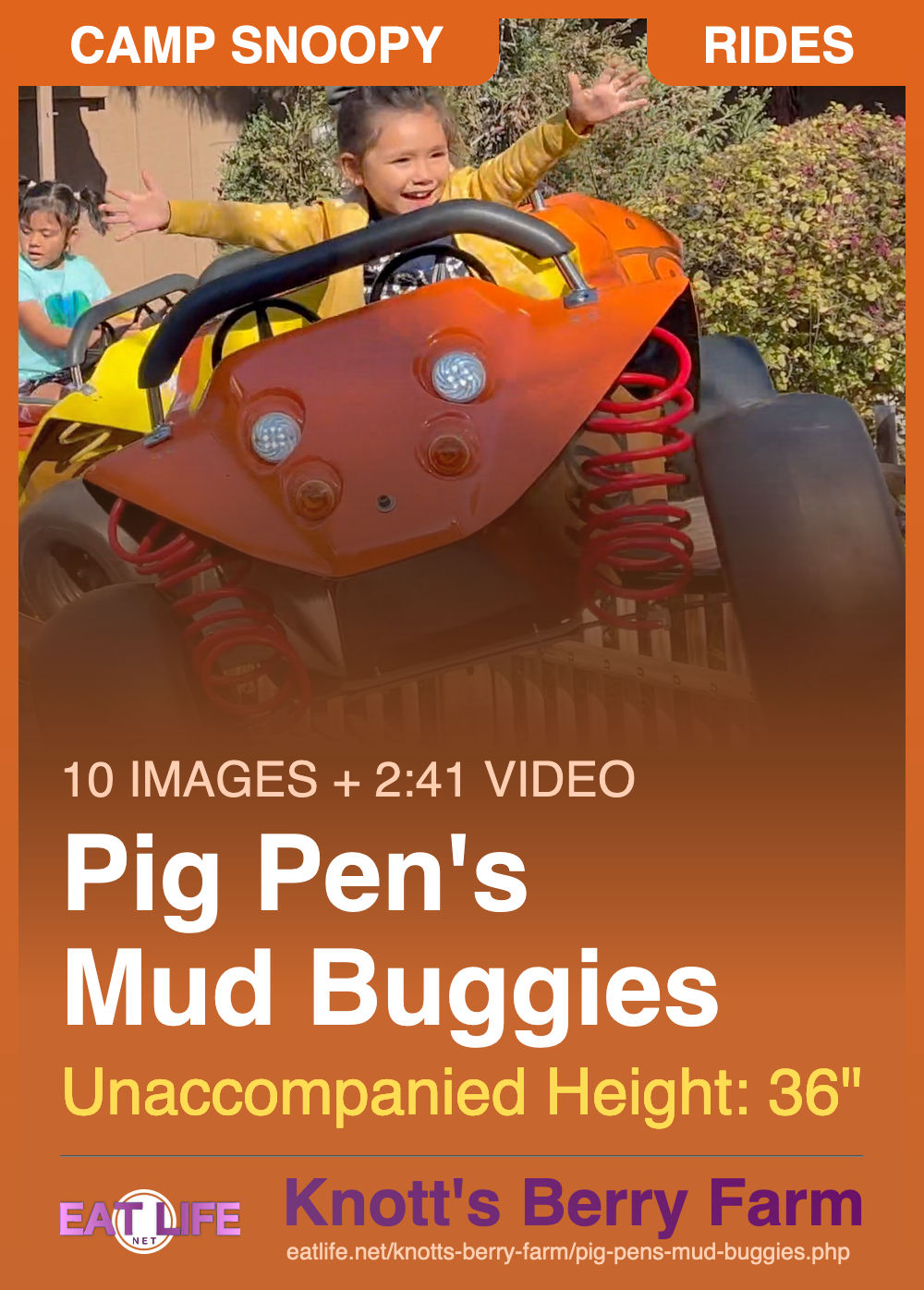 Pig Pen's Mud Buggies