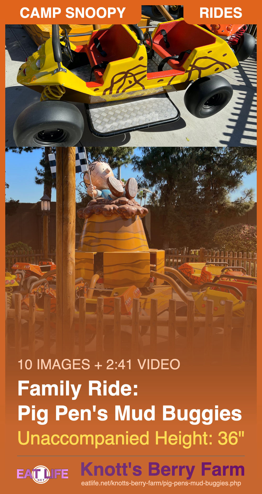 Pig Pen's Mud Buggies