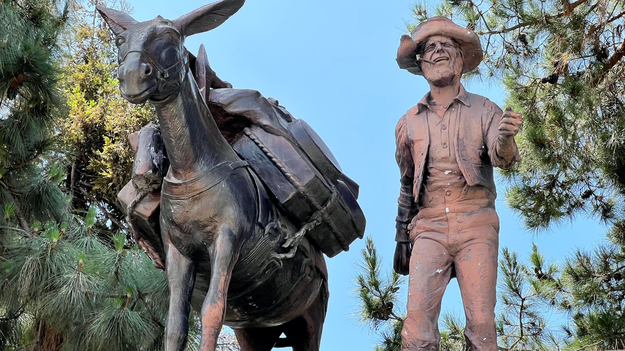 Pioneering Prospector and Pack Mule Close Up