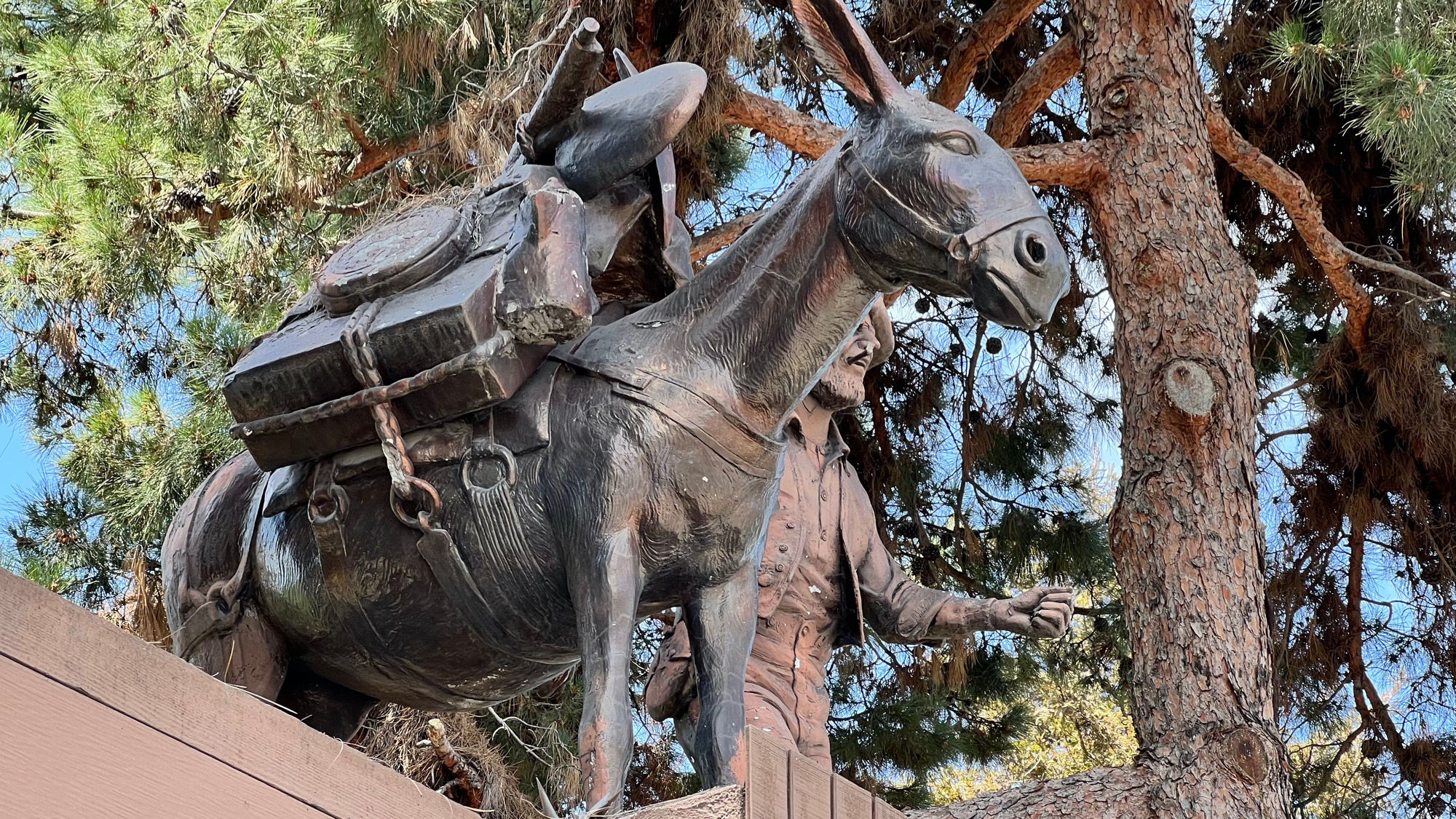 Pioneering Prospector and Burro - The Pack Mule