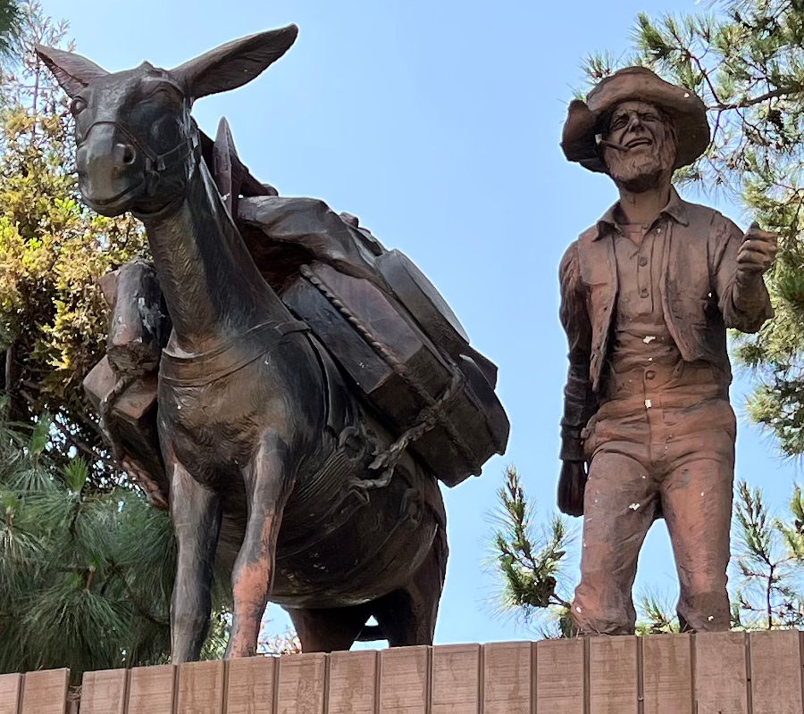 Pioneering Prospector