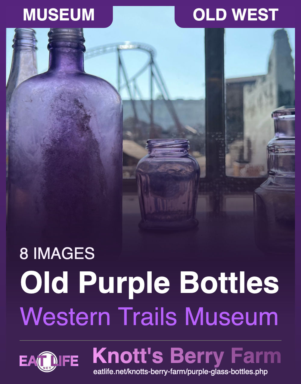 Vintage Purple Bottles