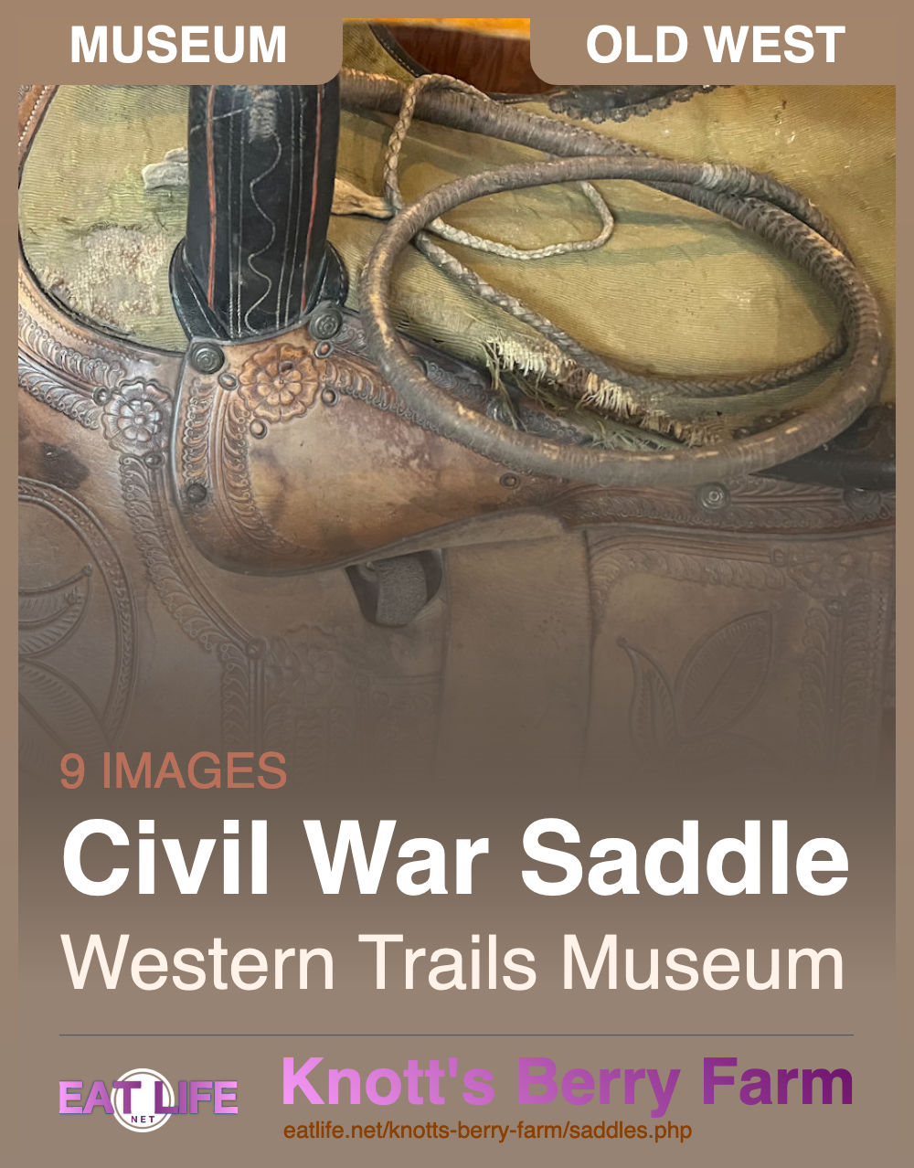 Saddles