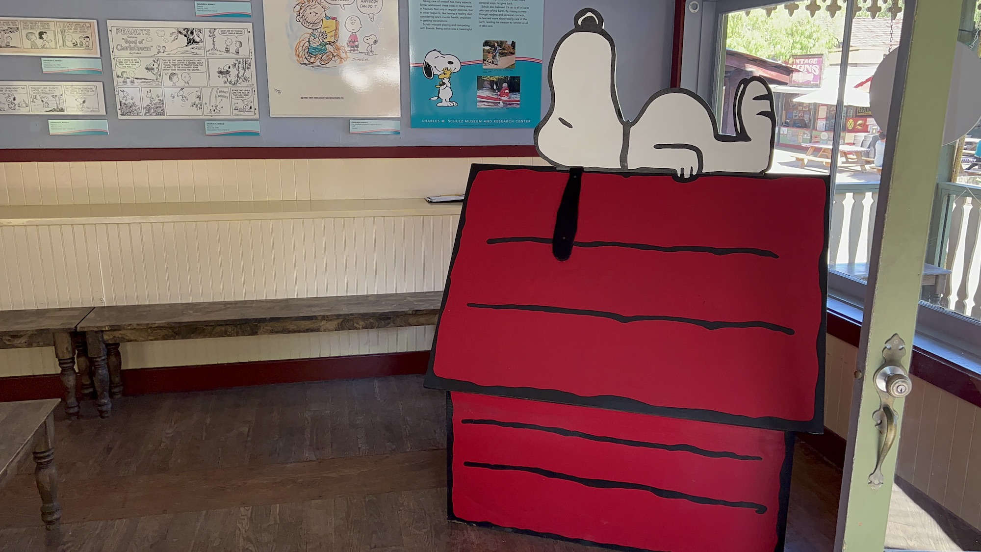 Sleeping Snoopy