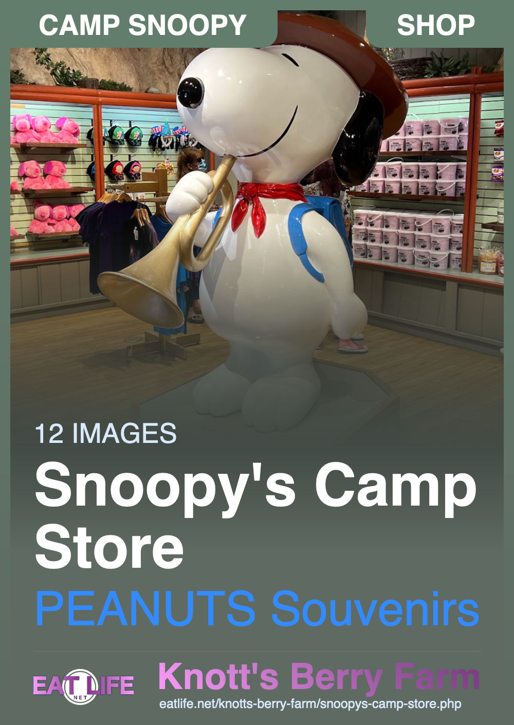 Snoopy's Camp Store
