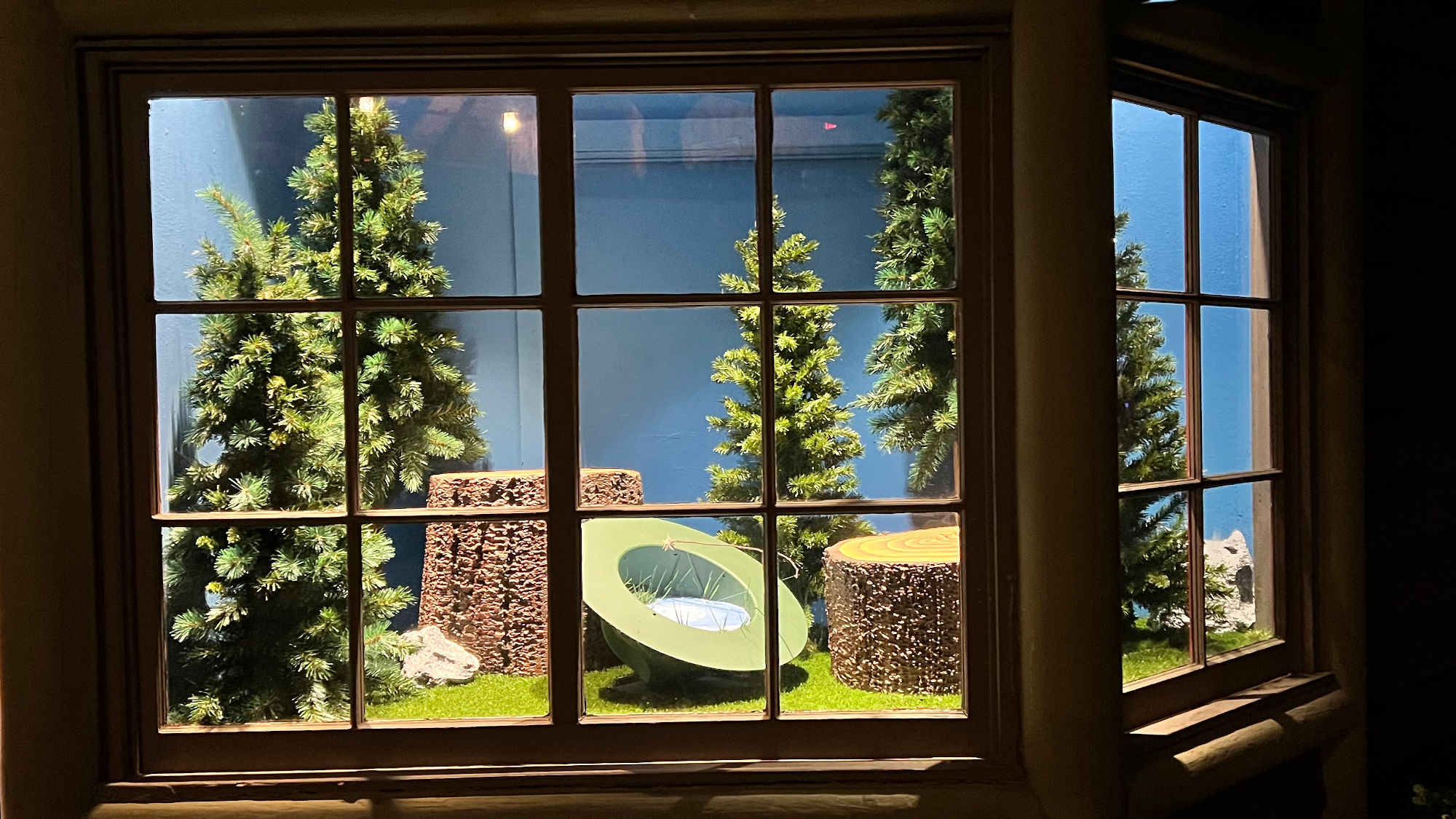 Snoopy's Camp Store Empty Nest